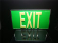 REALGLOW EXIT SIGN 100FT