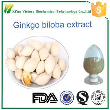 Natural food grade Ginkgo biloba L.extract