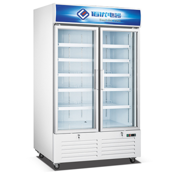 Commercial Refrigerator with 2 Glass Doors for Supermarket Fruits and Beverages Display