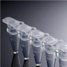 8 tubos traseros de PCR PCR Tube Stripe 0.1 ml