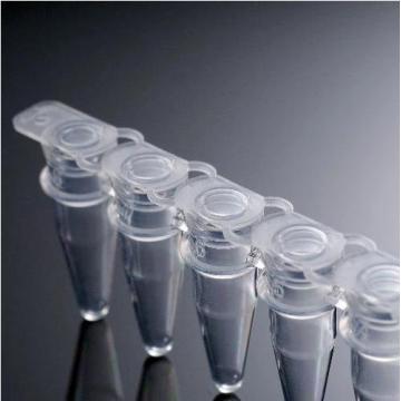 8 tubos traseros de PCR PCR Tube Stripe 0.1 ml