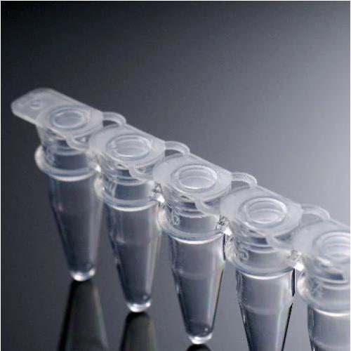 8 Tube Conical Bottoms PCR Tube Stripe 0.1ML