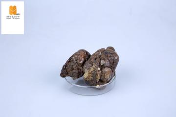 Factory Price Top Quality Natural Cheap Organic Raw Bee Propolis