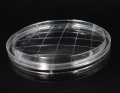 Piastre Petri RODAC da 65 mm Sterili