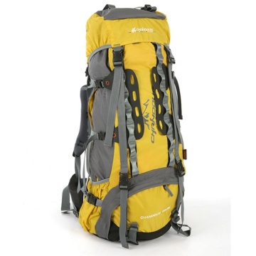 Hot Sale 2 Person Camping Tent for Hiking and Outdoor Adventure