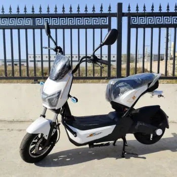 Strong Power Electric Bicycle Parts & Accessories with Lead Acid Battery and Disc Brake - China Made