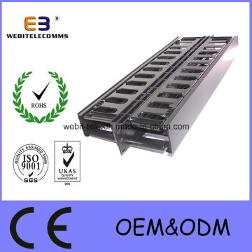 1u Double Side Cable Management