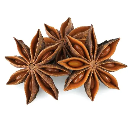 Spring Star Anise: Premium Dried Flowers for Culinary Excellence