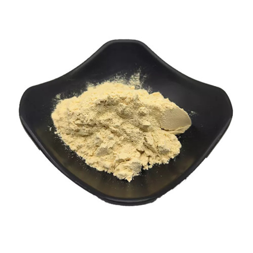 Walnut Peptide Powder Riced in Protein Walnut Protein Peptide for Food Supplement Manufactory