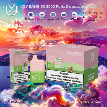Original UZY BANG BC5K Puffs Vape Germany