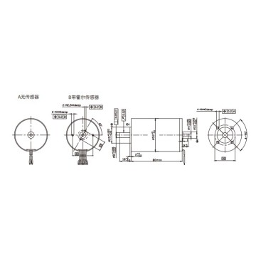 52 Brushless DC Motor
