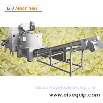 Vegetable Dicing and Drying Production Line