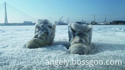 Salted_Lake_(Salt_Crystal_Shoes_on_a_Frozen_Lake)