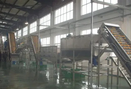 NFC fresh juice processing equipment