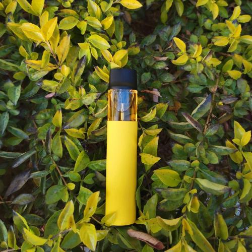New Promotion Terminator XL Vape Kits Vaporizer