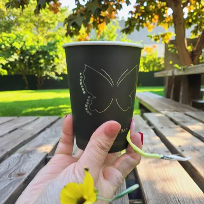 Biodegradable 10oz Insulated Coffee Cups
