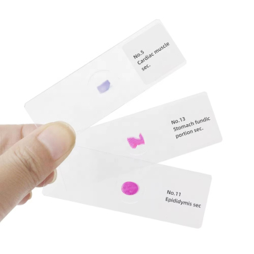 Histology Lab Kits &amp; Microscope Slides for Medical Science