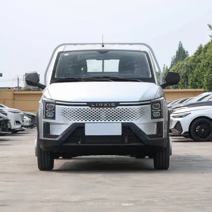 Lingshi Golden Card Double Row