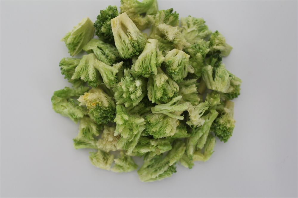 dried broccoli in dehydrator