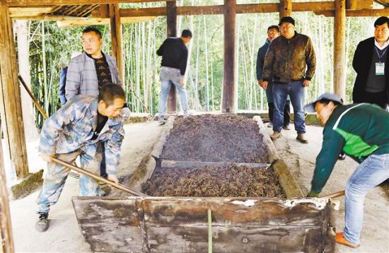 National Geographical Indication Product Coptis