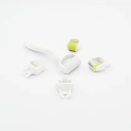 1.0mm 5 in 1 Miro Needle Rolling Kit