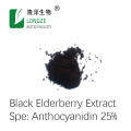 Black Elderberry Extract Powder