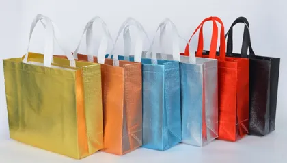 Laminated Non-Woven Shopping Bags