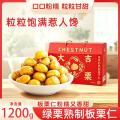 Isirung Chestnut Berkualiti Tinggi Kaya dengan Perisa Semulajadi