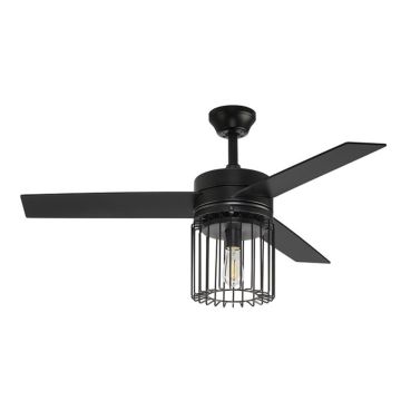 Multifunctional ceiling fan with light
