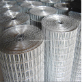 Stainless Steel Welded Wire Netting