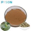 /msite/products/detail/productid/61993516/id/686361.html