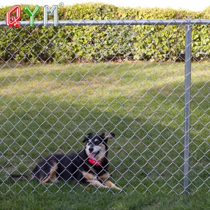 Cheap PVC Coated Used Chain Link Fence Double Doors Single Doors