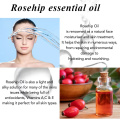Extrato de planta pura Rosehip Óleo essencial para cuidados com a pele de grau cosmético Óleo de roseira orgânica natural