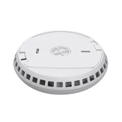 Battery Smoke Alarm Detector