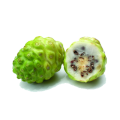 Premium Spray Dried Noni Fruit Powder Natural