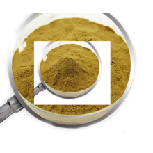 Best kava kava tincture kava kava extract powder