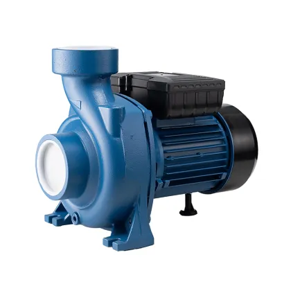 Bomba De Agua: 3 Inch Electric Water Pump for Irrigation