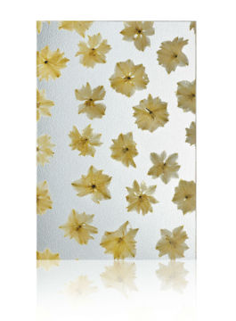 acrylic sheet