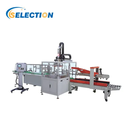 ZJZ-400Grab Type Automatic Packing Line