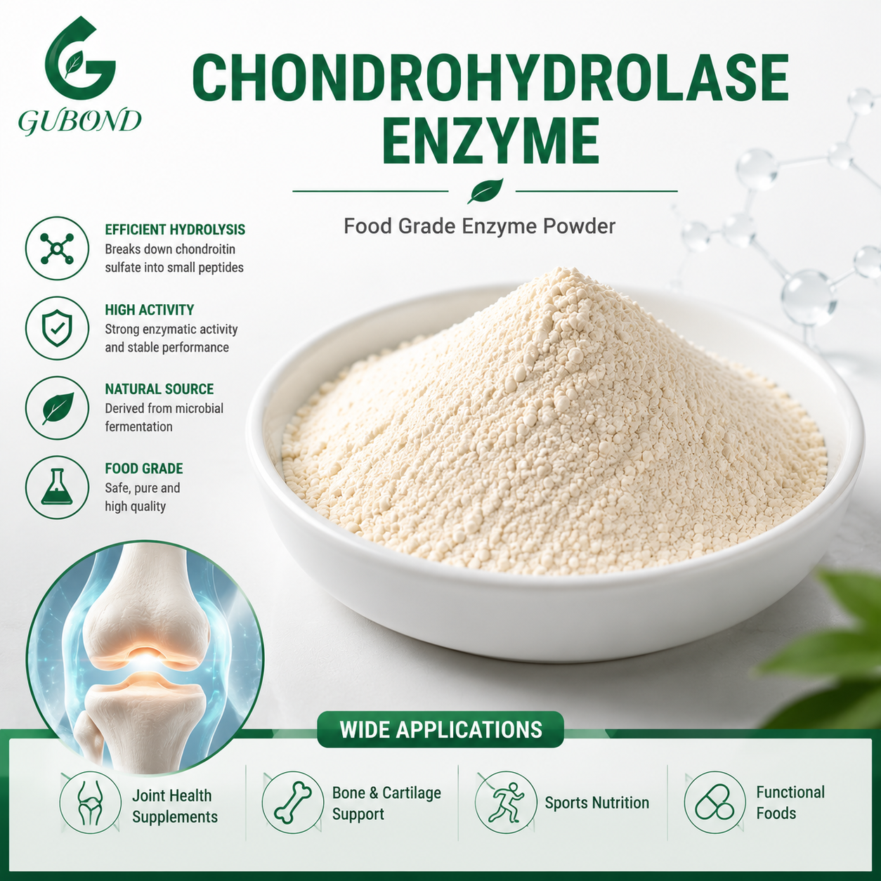 Chondrohydrolase