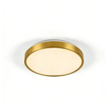 LED ceiling fixture for home spaces