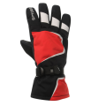 Wild Adventure Ski Gloves