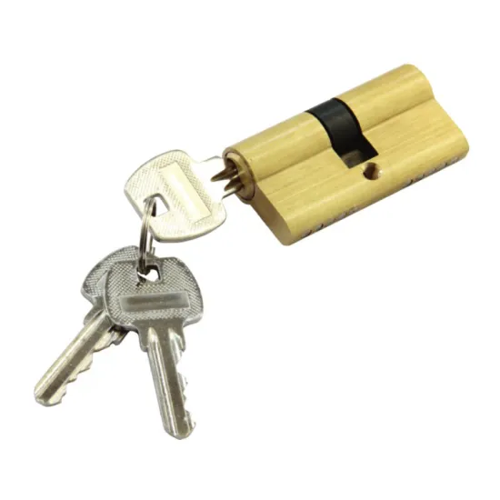 Copper Brass Zinc Security Door Lock Cylinder with Computer Key DSC01