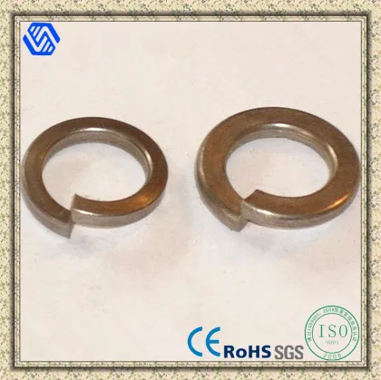 Fasteners Spring Washer