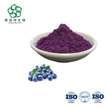 Wholesale Price Frozen Dried Organic Blueberry Juice Powder