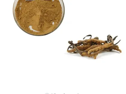 Cordycepin Cordyceps Sinensis Extract Powder