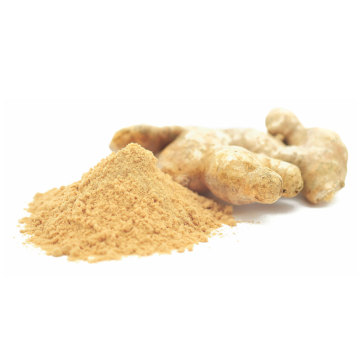 organic ground ginger bulk