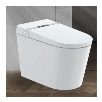Luxury Intelligent Electric Bidet Smart Toilet