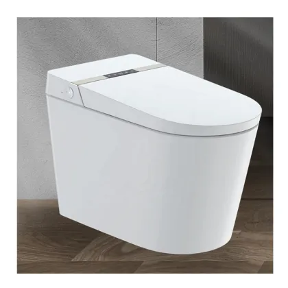 Luxury Intelligent Electric Bidet Smart Toilet