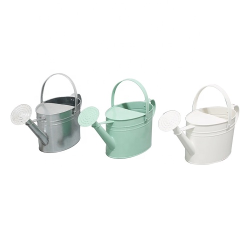 Best Watering Can For Outdoor Plants